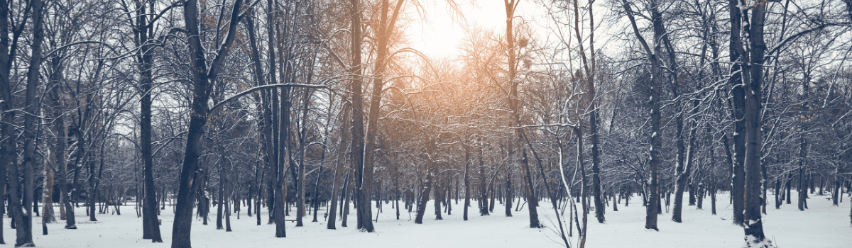 Understanding DWP Cold Weather Payment